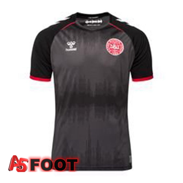 Maillot Foot Equipe de Denmark Gardien de but Noir 2022/2023