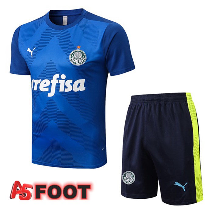 Ensemble Training T-Shirts Palmeiras + Short Bleu 2022/2023