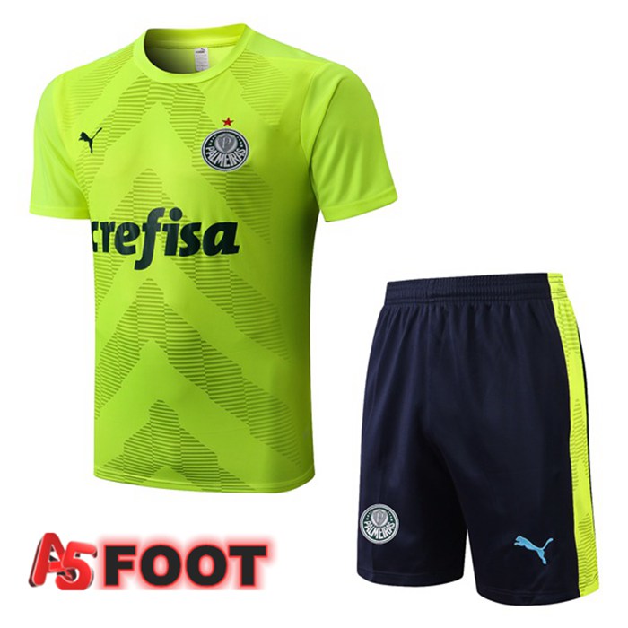 Ensemble Training T-Shirts Palmeiras + Short Vert 2022/2023