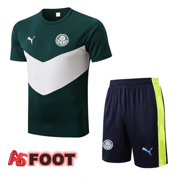 Ensemble Training T-Shirts Palmeiras + Short Vert Blanc 2022/2023