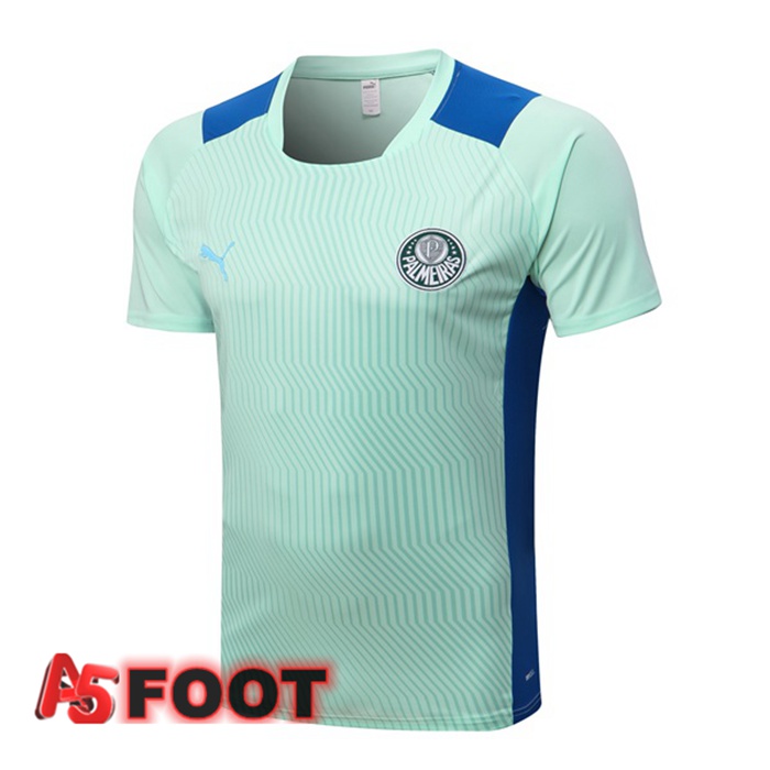 Training T-Shirts Palmeiras Vert 2022/2023