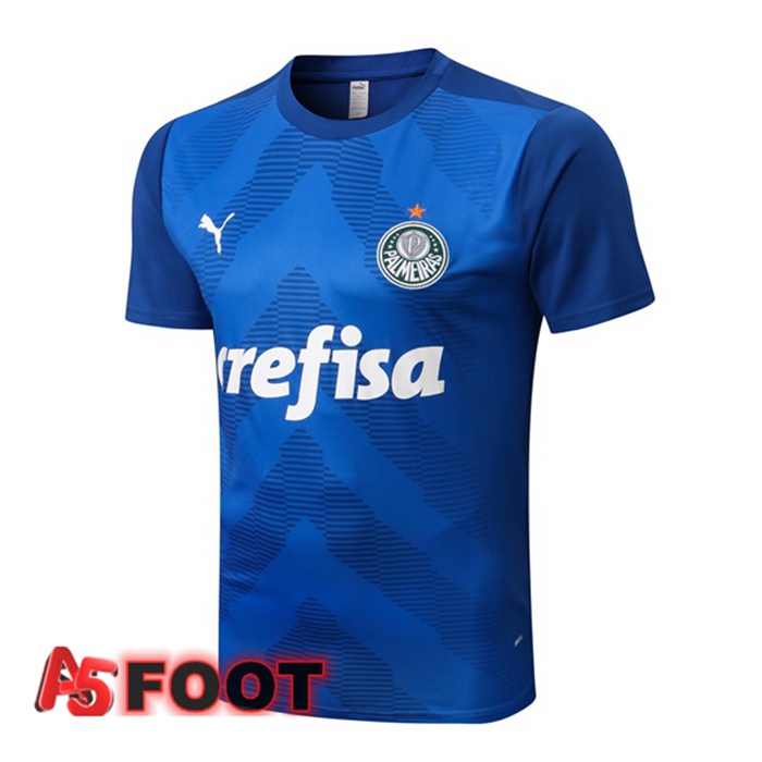 Training T-Shirts Palmeiras Bleu 2022/2023