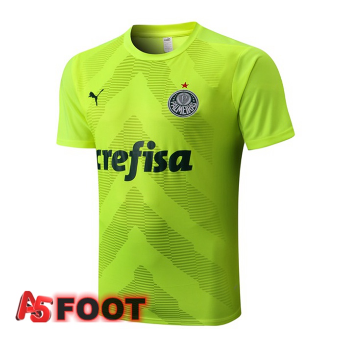 Training T-Shirts Palmeiras Vert 2022/2023