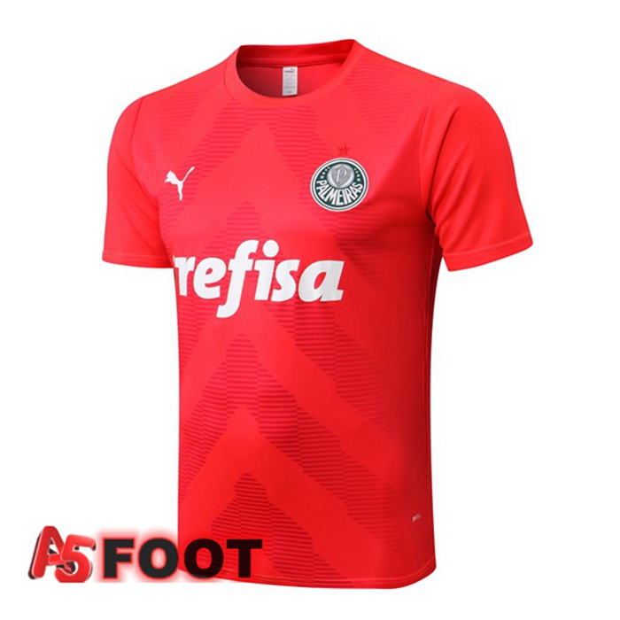 Training T-Shirts Palmeiras Rouge 2022/2023