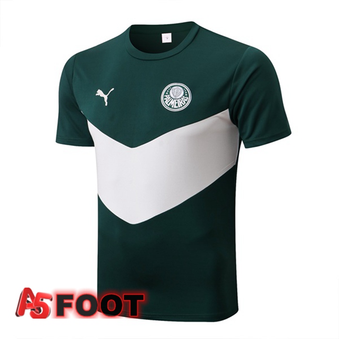 Training T-Shirts Palmeiras Vert Blanc 2022/2023