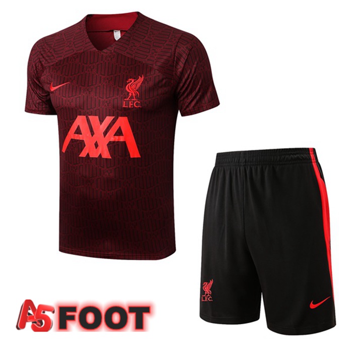 Ensemble Training T-Shirts FC Liverpool + Short Rouge 2022/2023