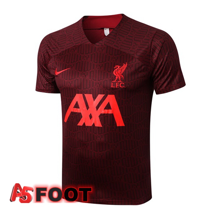 Training T-Shirts FC Liverpool Rouge 2022/2023