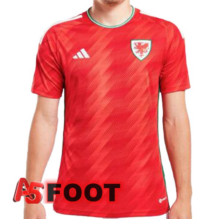 Maillot Foot Equipe De Pays de Galles Domicile Rouge Coupe du monde 2022