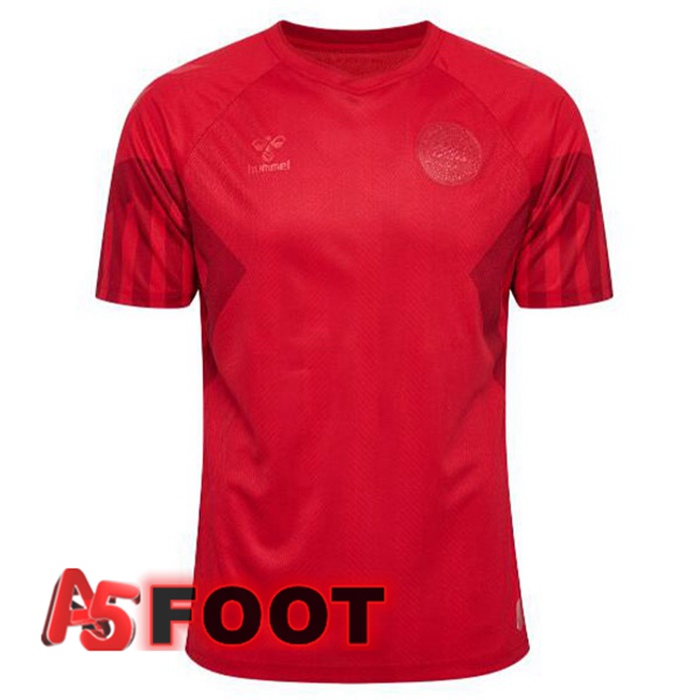 Maillot Foot Equipe De Denmark Domicile Rouge 2022/2023
