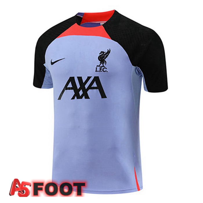 Training T-Shirts FC Liverpool Pourpre 2022/2023