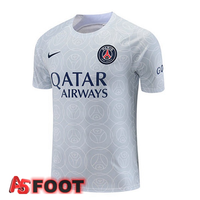 Training T-Shirts Paris PSG Gris 2022/2023