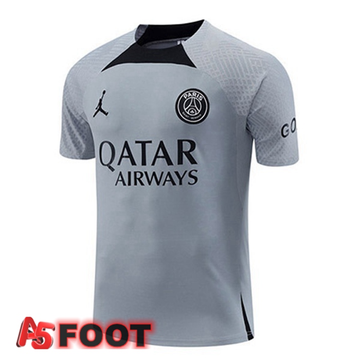 Training T-Shirts Paris PSG Gris 2022/2023