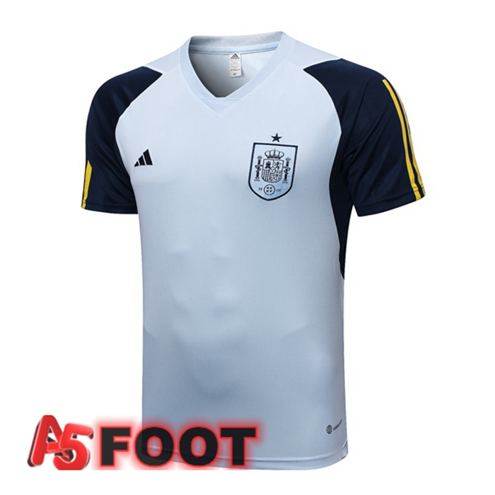 Training T-Shirts Espagne Bleu 2023/2024