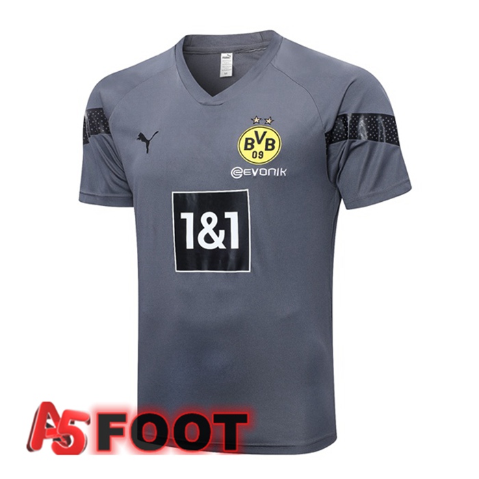 Training T-Shirts Dortmund BVB Gris 2023/2024