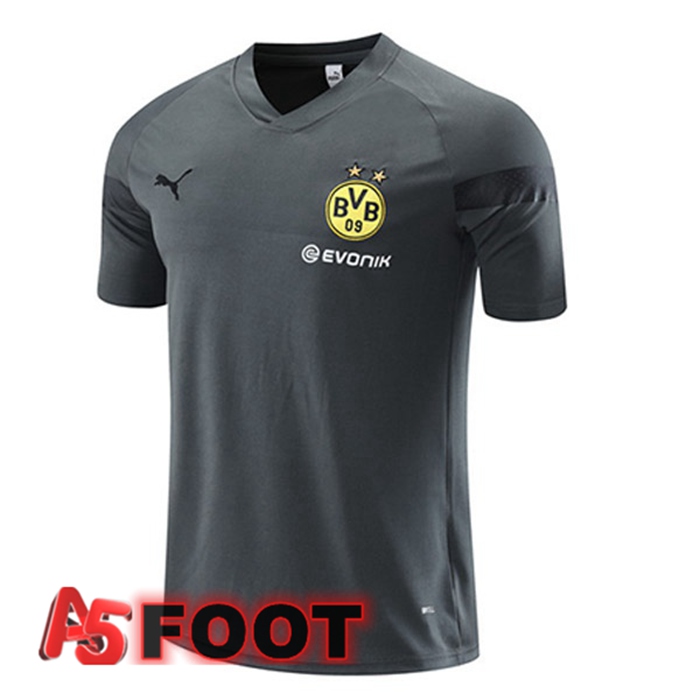 Training T-Shirts Dortmund BVB Gris 2023/2024