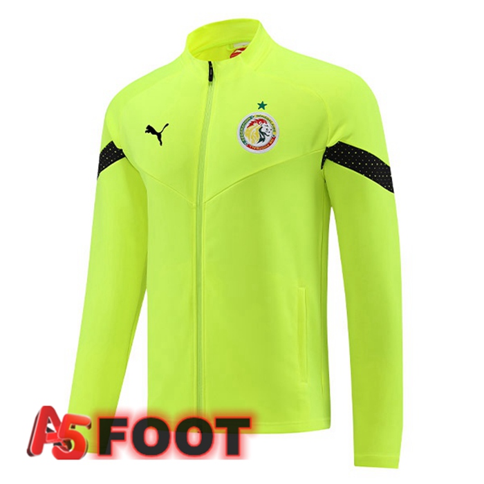 Veste Foot Sénégal Vert 2023/2024