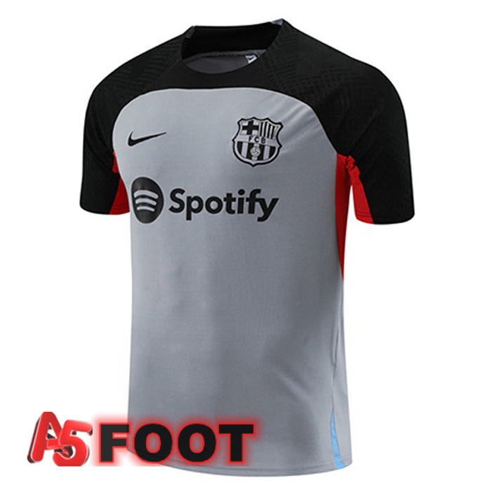 Training T-Shirts FC Barcelone Gris 2023/2024