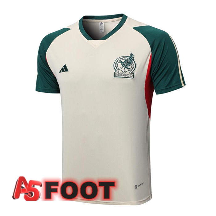 Training T-Shirts Mexique Marron 2023/2024