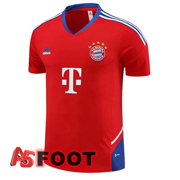 Training T-Shirts Bayern Munich Rouge 2023/2024