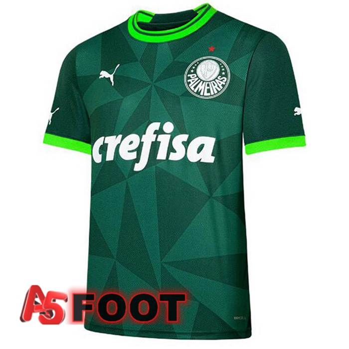 Maillot De Foot Palmeiras Domicile Vert 2023/2024