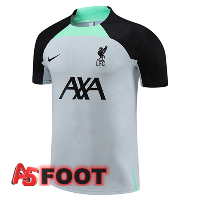 Training T-Shirts FC Liverpool Gris 2023/2024