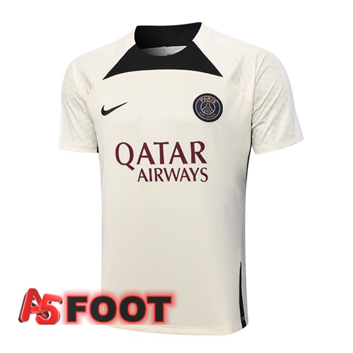 Training T-Shirts Paris PSG Marron 2023/2024