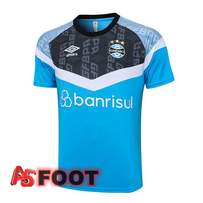 Training T-Shirts Gremio Bleu 2023/2024