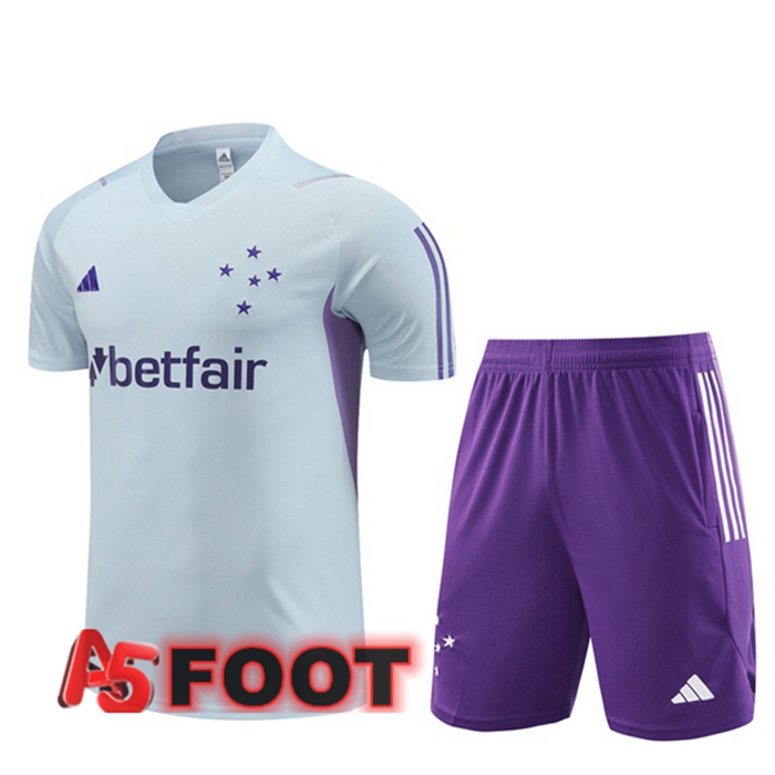 Ensemble Training T-Shirts Cruzeiro EC + Shorts Gris 2023/2024