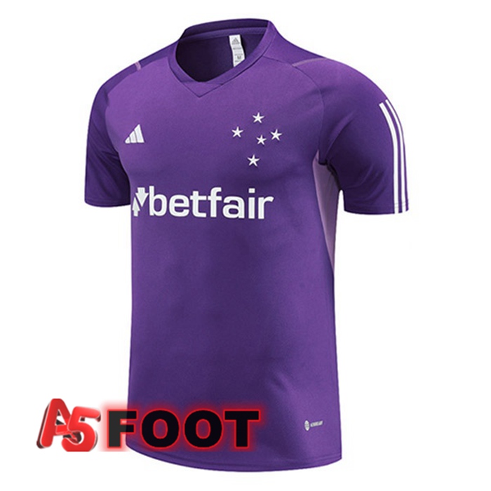 Training T-Shirts Cruzeiro EC Pourpre 2023/2024