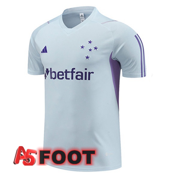 Training T-Shirts Cruzeiro EC Gris 2023/2024