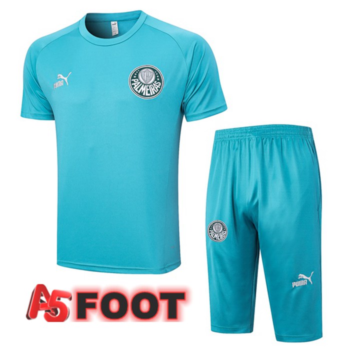 Ensemble Training T-Shirts Palmeiras + Shorts Cyan 2023/2024