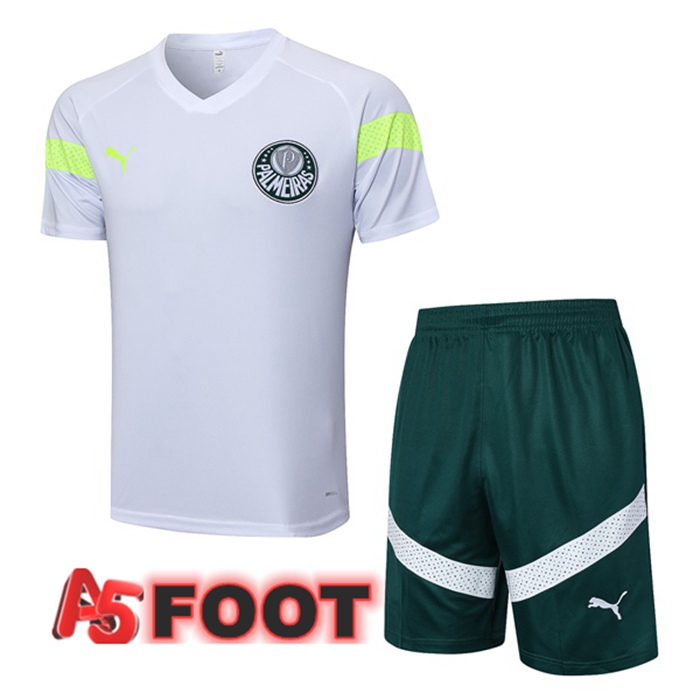 Ensemble Training T-Shirts Palmeiras + Shorts Blanc 2023/2024