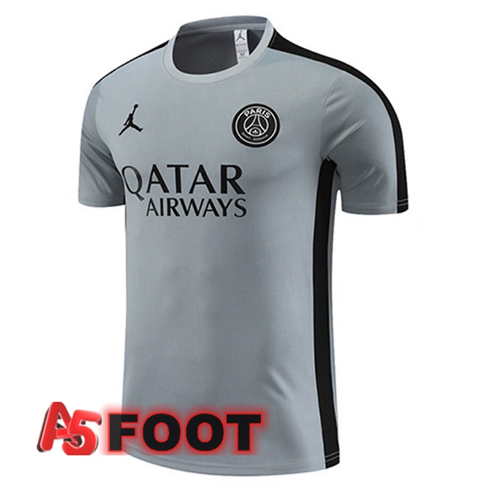 Training T-Shirts JORDAN Paris PSG Gris 2023/2024