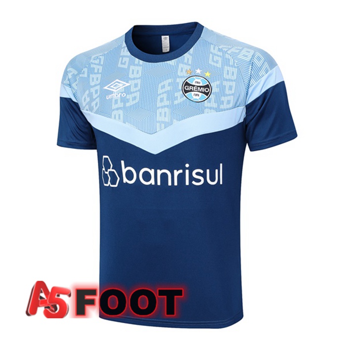 Training T-Shirts Gremio Bleu 2023/2024