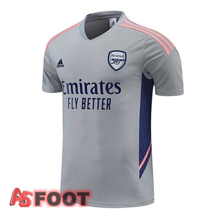 Training T-Shirts Arsenal Gris 2022/2023