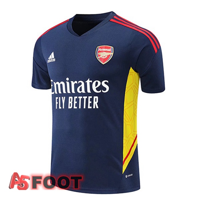 Training T-Shirts Arsenal Bleu Royal 2022/2023