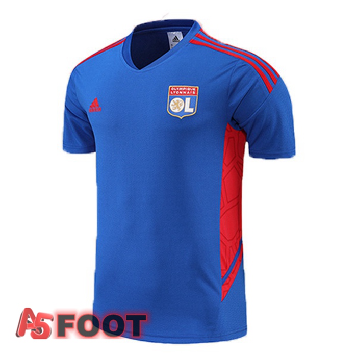 Training T-Shirts Lyon OL Bleu 2022/2023