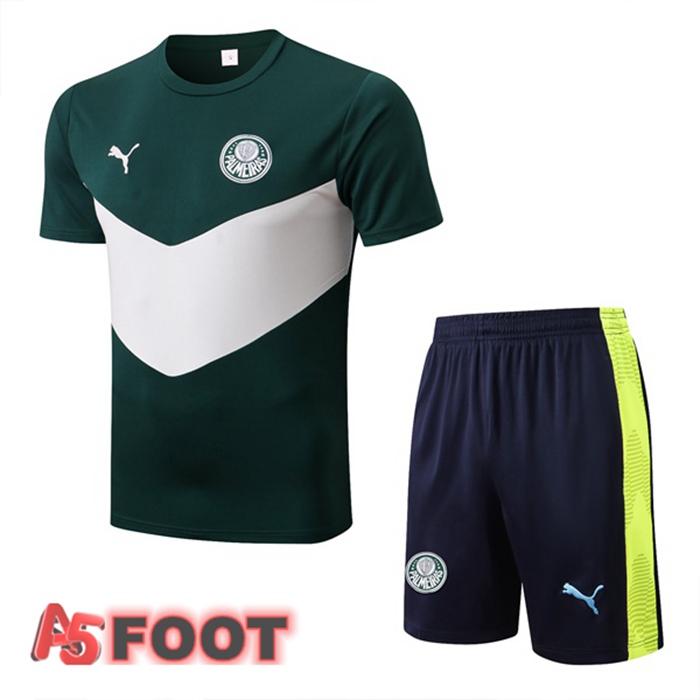 Training T-Shirts Palmeiras + Shorts Vert 22/23
