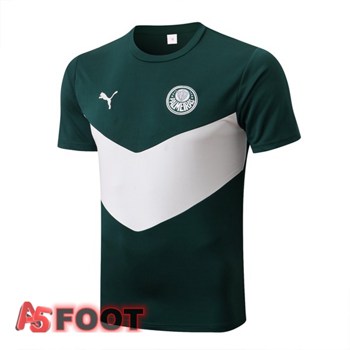 Training T-Shirts Palmeiras Vert 22/23