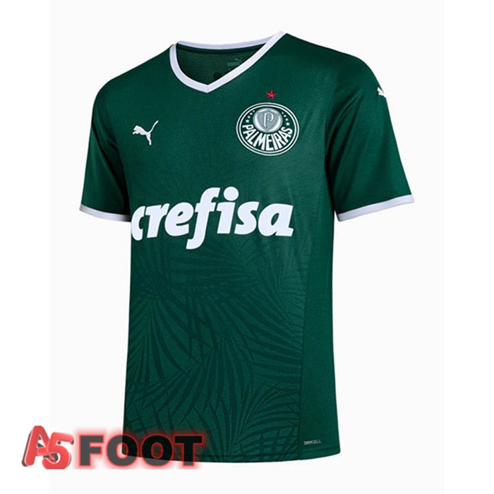 Maillot Foot Palmeiras Domicile Vert 22/23