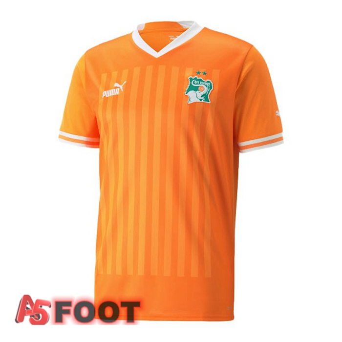 Maillot Equipe de Côte d'Ivoire Domicile Jaune 2022/2023