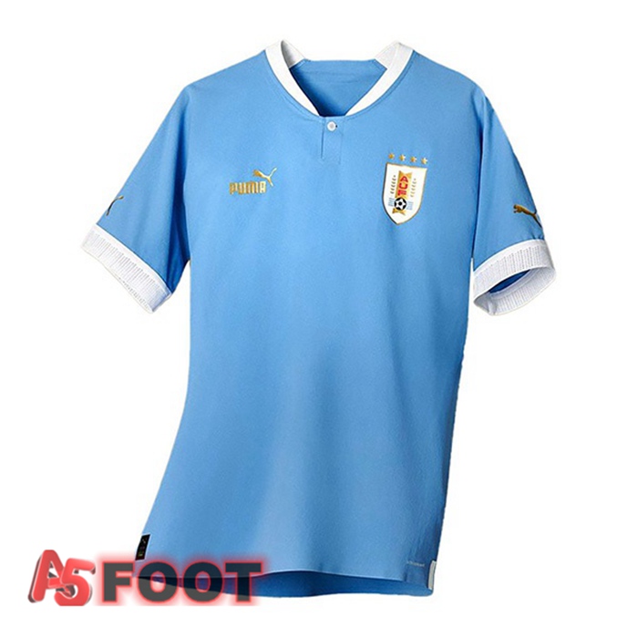Maillot De Foot Uruguay Domicile Bleu Coupe du monde 2022