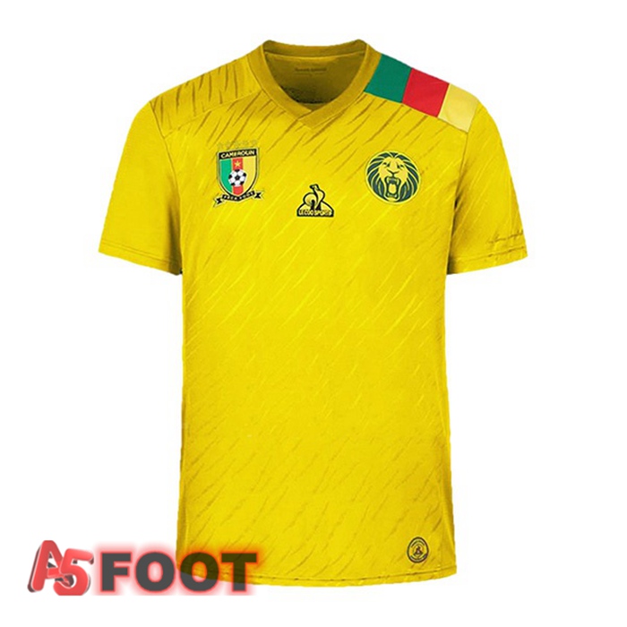 Maillot Foot Equipe de Cameroun Exterieur 21/22
