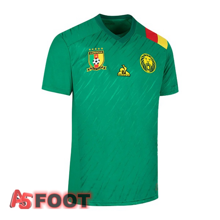 Maillot De Foot Cameroun Domicile Vert Coupe du monde 2022