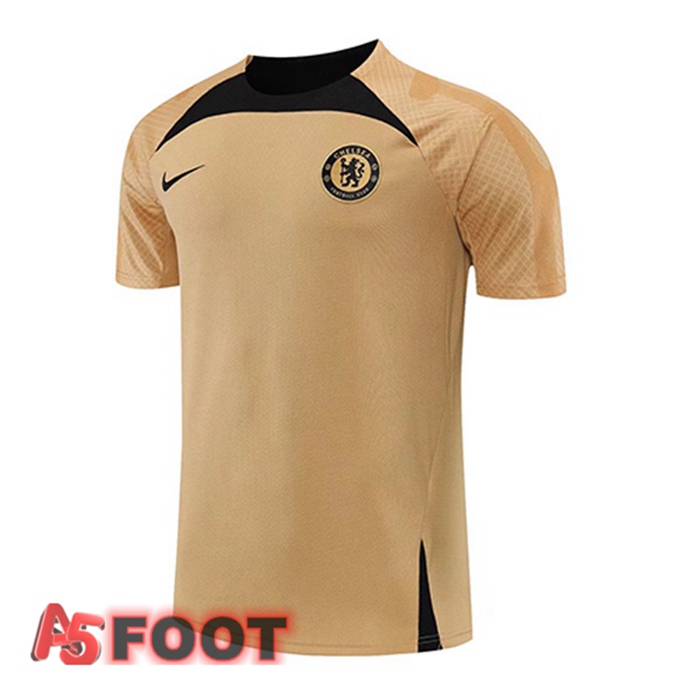 Training T-Shirts FC Chelsea Jaune 2022/2023