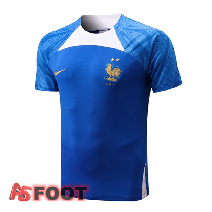 Training T-Shirts France Bleu 2022/2023
