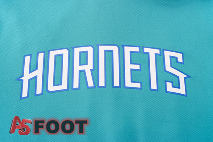 Veste A Capuche Survetement NBA Charlotte Hornets Bleu 2022/2023